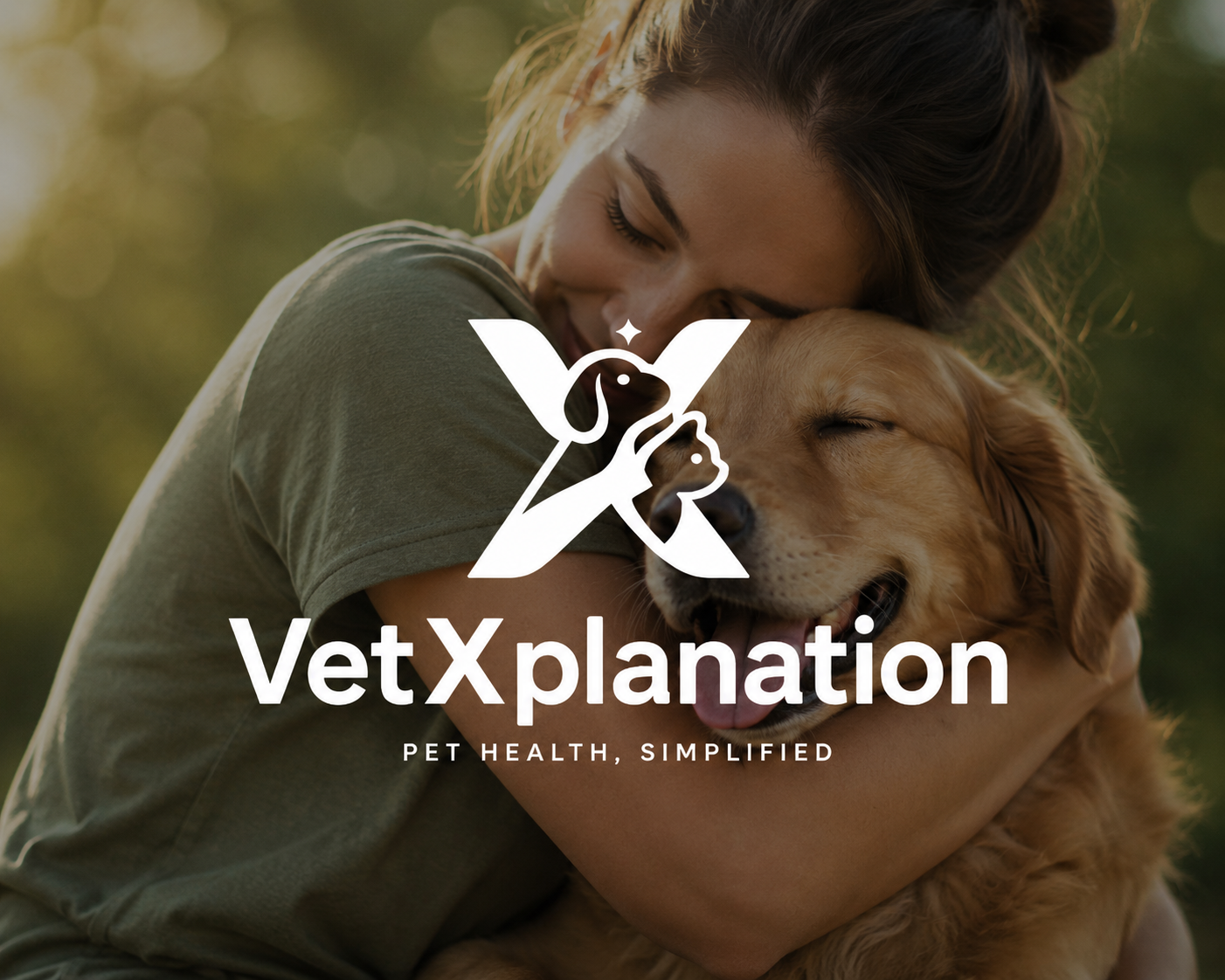 Pets relaxing together in a bright, welcoming home